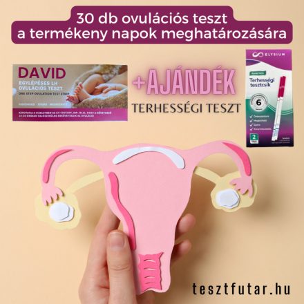 30 DB DAVID OVULÁCIÓS (LH) TESZTCSÍK 20 mIU + ELYSIUM AJÁNDÉK TERHESSÉGI TESZT 2DB-OS