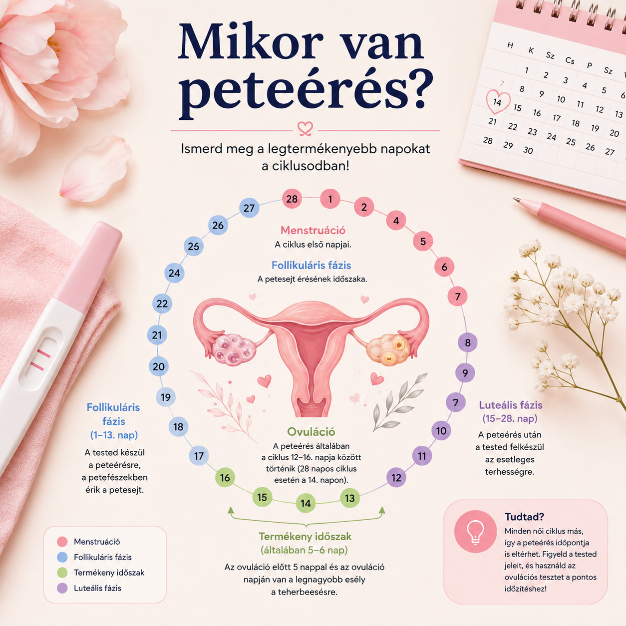 Minden, amit a peteérésről tudnod kell